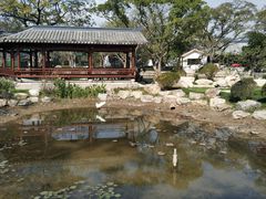 -江心屿景区