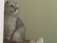 -康正盲人按摩养生馆(君御花园店)