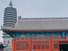 -西海子公园