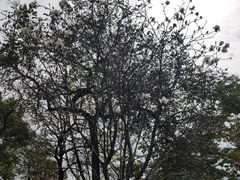 -中国移动南方基地