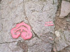 -西湖风景区十里琅珰-五云山