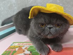 -瑞虹新天地月亮湾