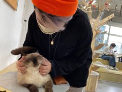 -Heymao猫咖.咖啡厅(东门店)