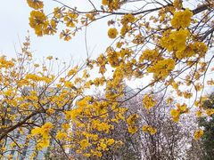 -荔湾区儿童公园