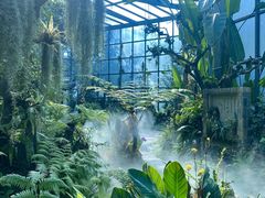 -东莞植物园