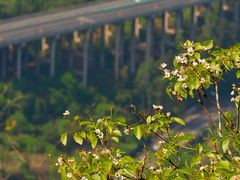 -舒家湾天主教堂