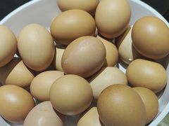 -农小锅(北京大兴凯德店)