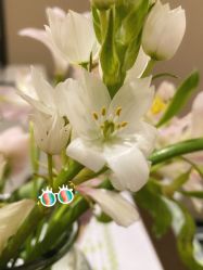 -Oasis Beauty水磨坊科技美肤中心