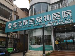-瑞派紫金宠物医院24小时·骨科·中兽医·重症转诊中心(番禺大石院)