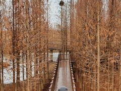 -双山岛