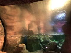 -沈阳海洋探索中心