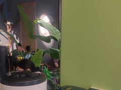 -顶顶香(金花南路店)