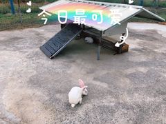-嘉北郊野公园