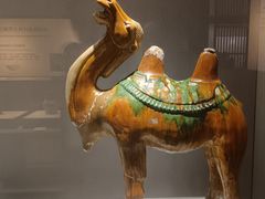 -景德镇中国陶瓷博物馆