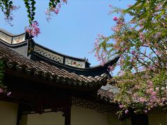 -上海醉白池公园