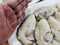 -濠轩阁特色生蚝火锅总店