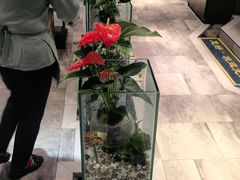 -蕃茄述·好汤自然来(江汉路店)