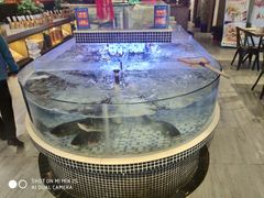 -廖师傅大蒜炒腊肉(袁家岭店)