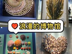 -大连自然博物馆