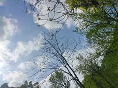 -青城山