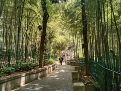 -苏州上方山国家森林公园