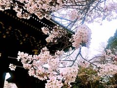 -醍醐寺