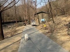 -白水寺森林公园