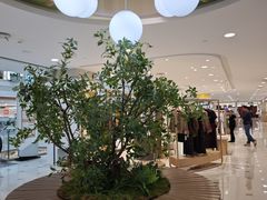-巴黎春天(浦建店)