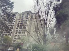 -花水湾第一村温泉大酒店