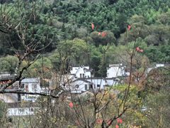 -塔川景区