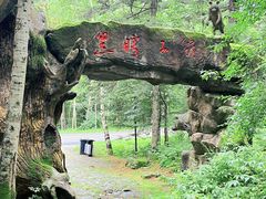 -五营国家森林公园