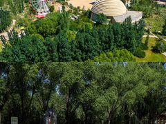 -亿利库布其七星湖沙漠生态旅游区