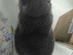 -美美宠物诊疗中心·异宠·骨科(滨江东信分院)