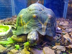 -上海海洋水族馆