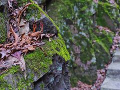 -藏龙百瀑风景区