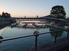 -上海月湖雕塑公园