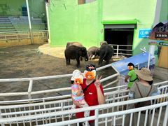 -大连森林动物园