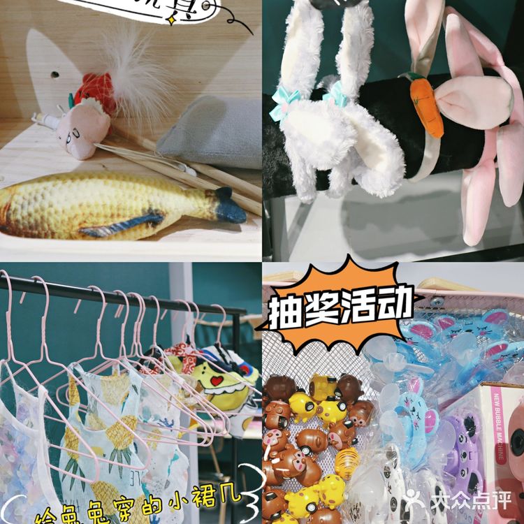 武汉撸兔|遇见萌宠江汉路探店