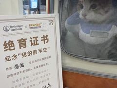 -瑞鹏宠物医院·夜间急症·心超·猫科(祖庙分店)