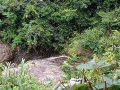 -梧桐山风景名胜区