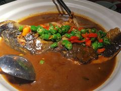 -卢大鲜鱼头捞饭(美利广场店)