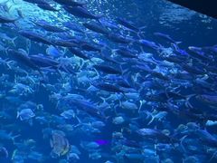 -多彩贵州城极地海洋世界