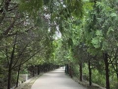 -府君山公园