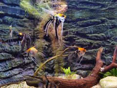 -上海海洋水族馆