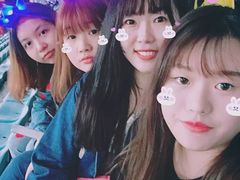 -南京奥林匹克体育中心-体育馆