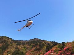 -木兰云雾山