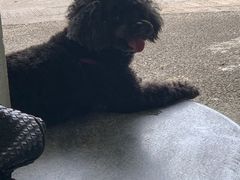 -胜记士多小食店