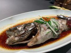 清蒸青石斑-悦秀·高级粤菜