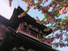 景点-西安青龙寺遗址景区