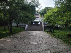 -苏州上方山国家森林公园